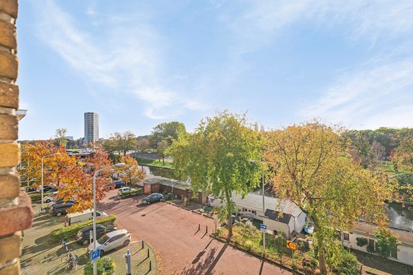 Soestdijksekade 972_20.jpg